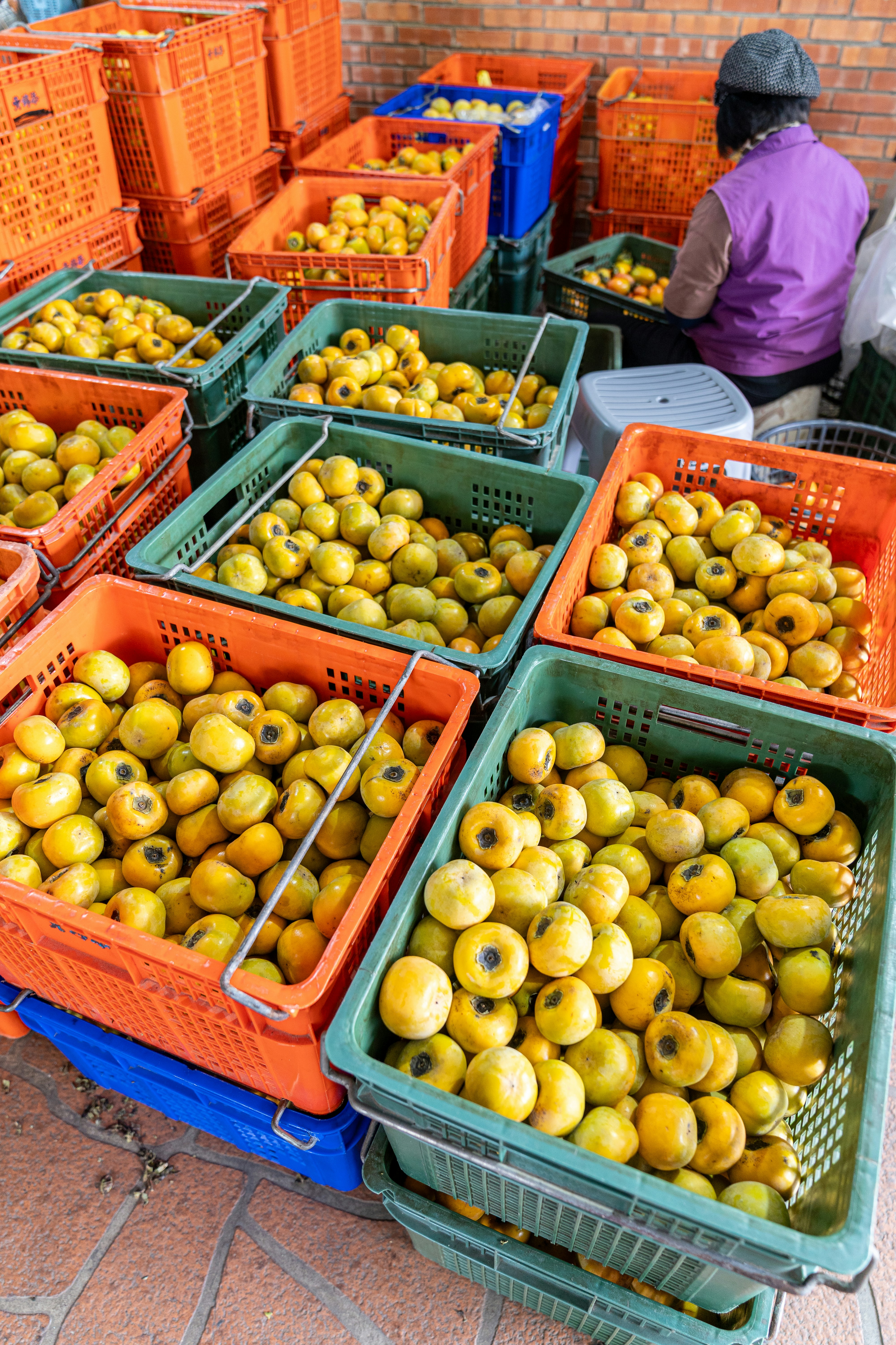 Agricultural field with modern technology
